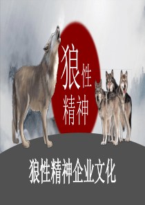 精神企業(yè)文化員工培訓(xùn)性文化ppt模板為什么要給員工培訓(xùn)企業(yè)文化