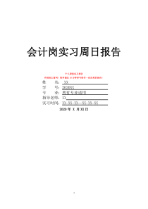 會(huì)計(jì)崗實(shí)習(xí)周日?qǐng)?bào)告