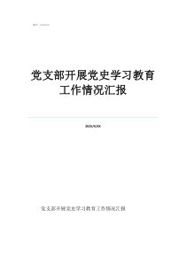 黨支部開展黨史學(xué)習(xí)教育工作情況匯報(bào)