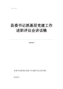 村黨組織工作報(bào)告范文縣委書記抓基層黨建工作述職評(píng)議會(huì)講話稿