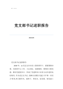 黨支部年度述職報告黨支部書記述職報告