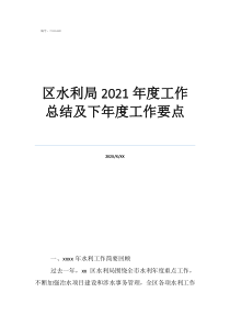 年度工作總結(jié)報告范文區(qū)水利局2021年度工作總結(jié)及下年度工作要點