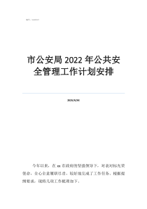 市公安局2022年公共安全管理工作計(jì)劃安排
