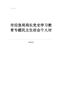 市應(yīng)急局局長黨史學(xué)習(xí)教育專題民主生活會個(gè)人對