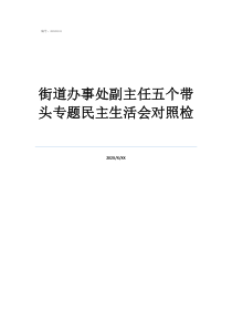 街道辦事處副主任五個帶頭專題民主生活會對照檢