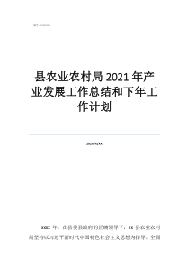 商務(wù)部2020年工作總結(jié)縣農(nóng)業(yè)農(nóng)村局2021年產(chǎn)業(yè)發(fā)展工作總結(jié)和下年工作計劃