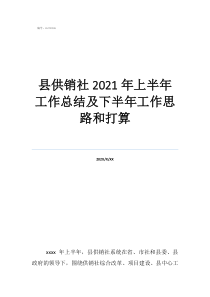 基層供銷社年終總結(jié)縣供銷社2021年上半年工作總結(jié)及下半年工作思路和打算