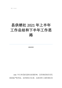 財(cái)務(wù)年度工作總結(jié)及工作計(jì)劃縣供銷(xiāo)社2021年上半年工作總結(jié)和下半年工作思路