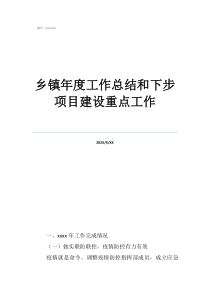 鄉(xiāng)鎮(zhèn)基層個人工作總結鄉(xiāng)鎮(zhèn)年度工作總結和下步項目建設重點工作