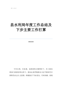 灌區(qū)個(gè)人工作總結(jié)縣水利局年度工作總結(jié)及下步主要工作打算