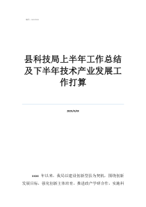 科技局安全工作年度總結(jié)縣科技局上半年工作總結(jié)及下半年技術(shù)產(chǎn)業(yè)發(fā)展工作打算