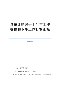 新一年工作計(jì)劃與打算縣統(tǒng)計(jì)局關(guān)于上半年工作安排和下步工作打算匯報(bào)
