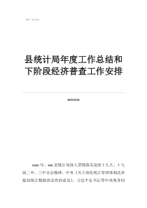 統(tǒng)計(jì)局辦公室工作總結(jié)縣統(tǒng)計(jì)局年度工作總結(jié)和下階段經(jīng)濟(jì)普查工作安排