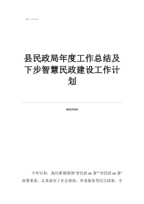 鄉(xiāng)鎮(zhèn)信訪工作總結(jié)及計劃縣民政局年度工作總結(jié)及下步智慧民政建設(shè)工作計劃