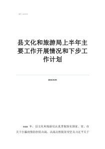 旅游網(wǎng)站工作計劃縣文化和旅游局上半年主要工作開展情況和下步工作計劃