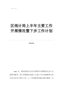 統(tǒng)計(jì)工作計(jì)劃區(qū)統(tǒng)計(jì)局上半年主要工作開展情況暨下步工作計(jì)劃