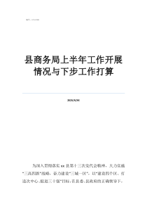 淄川商務(wù)局局長劉汝根縣商務(wù)局上半年工作開展情況與下步工作打算