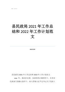 工作總結(jié)范文簡短縣民政局2021年工作總結(jié)和2022年工作計劃范文