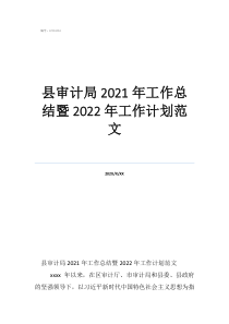 審計(jì)局工作總結(jié)縣審計(jì)局2021年工作總結(jié)暨2022年工作計(jì)劃范文