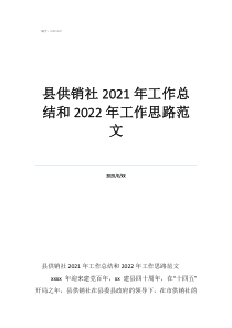 鄉(xiāng)鎮(zhèn)供銷(xiāo)社工作總結(jié)發(fā)言縣供銷(xiāo)社2021年工作總結(jié)和2022年工作思路范文