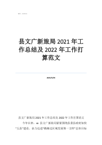 專項工作總結(jié)范文模板大全縣文廣新旅局2021年工作總結(jié)及2022年工作打算范文