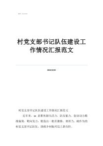 村黨支部書記隊伍建設(shè)工作情況匯報范文