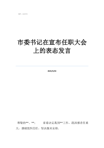 市委書(shū)記在宣布任職大會(huì)上的表態(tài)發(fā)言