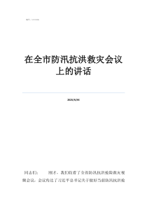 抗洪搶險(xiǎn)動(dòng)員講話稿在全市防汛抗洪救災(zāi)會(huì)議上的講話