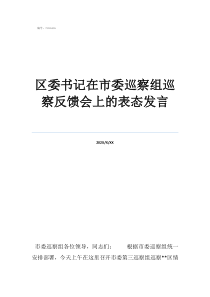 巡察反饋會上的表態(tài)發(fā)區(qū)委書記在市委巡察組巡察反饋會上的表態(tài)發(fā)言