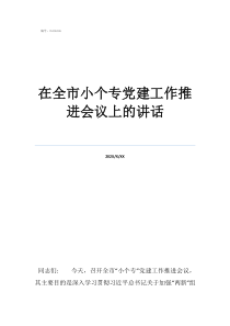 基層黨建工作推進(jìn)會在全市小個專黨建工作推進(jìn)會議上的講話