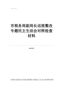 市稅務(wù)局副局長(zhǎng)巡視整改專(zhuān)題民主生活會(huì)對(duì)照檢查材料