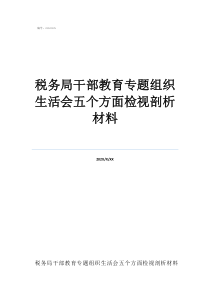嚴真細實快自我剖析稅務(wù)局干部教育專題組織生活會五個方面檢視剖析材料