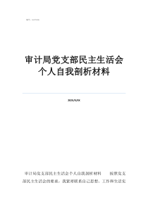 審計局黨支部民主生活會個人自我剖析材料