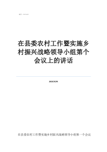 鄉(xiāng)村振興戰(zhàn)略領(lǐng)導(dǎo)小組在縣委農(nóng)村工作暨實(shí)施鄉(xiāng)村振興戰(zhàn)略領(lǐng)導(dǎo)小組第個(gè)會(huì)議上的講話