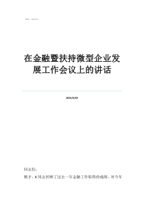 安全工作會議領導講話在金融暨扶持微型企業(yè)發(fā)展工作會議上的講話