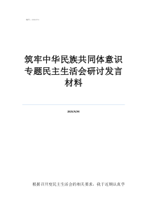 堅決鑄牢民族共同體意筑牢中華民族共同體意識專題民主生活會研討發(fā)言材料