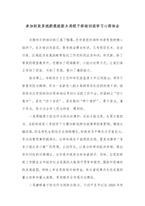 參加財政系統(tǒng)新提拔副鄉(xiāng)局級干部培訓(xùn)班學(xué)習心得體會docx