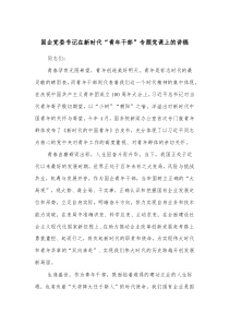 國企黨委書記在新時代“青年干部”專題黨課上的講稿docx