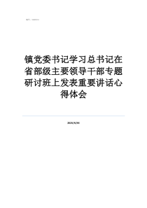 鎮(zhèn)黨委書記學習總書記在省部級主要領導干部專題研討班上發(fā)表重要講話心得體會