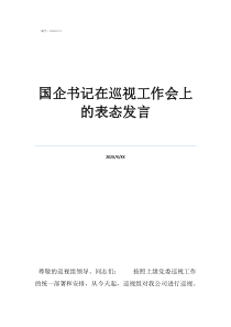 紀檢部長國企書記在巡視工作會上的表態(tài)發(fā)言