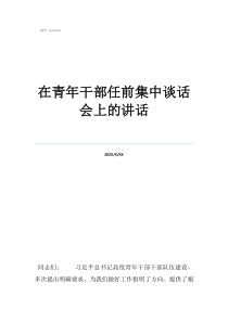 被談話人在青年干部任前集中談話會(huì)上的講話