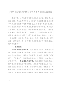 2020年黨委書(shū)記民主生活會(huì)個(gè)人對(duì)照檢查材料