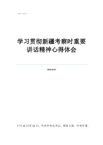 學(xué)習(xí)貫徹新疆考察時(shí)重要講話精神心得體會(huì)