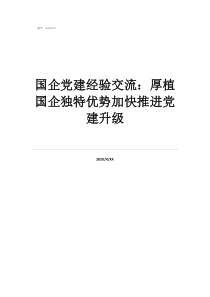 國企黨建經(jīng)驗(yàn)交流：厚植國企獨(dú)特優(yōu)勢(shì)加快推進(jìn)黨建升級(jí)