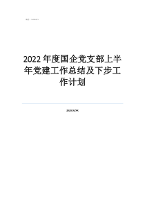 2022年度國企黨支部上半年黨建工作總結(jié)及下步工作計(jì)劃