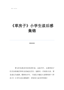 小學(xué)生草房子讀后感《草房子》小學(xué)生讀后感集錦