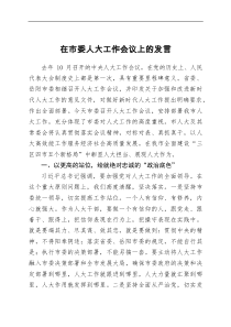 在市委人大工作會(huì)議上的發(fā)言docx