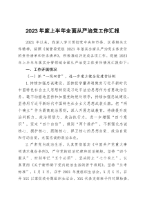 2023年度上半年全面從嚴(yán)治黨工作匯報(bào)docx