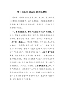 村干部隊(duì)伍建設(shè)經(jīng)驗(yàn)交流材料docx