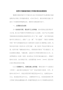 區(qū)審計局基層黨建工作落實情況自查報告docx